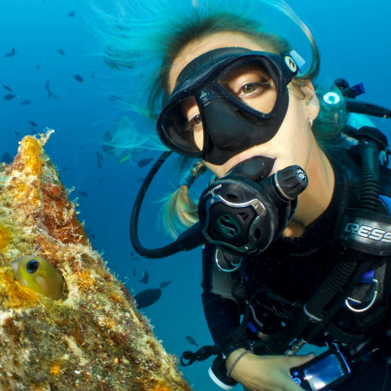 woman underwater near fishes