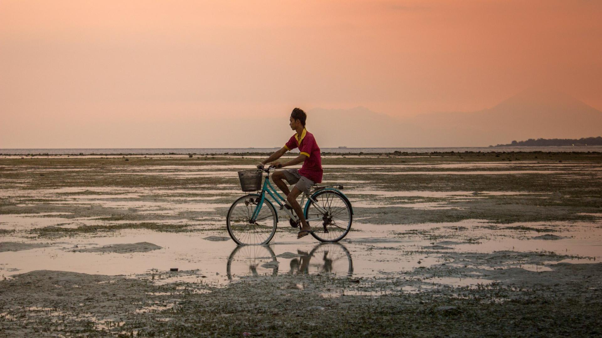 person in red top riding blue city bicycle