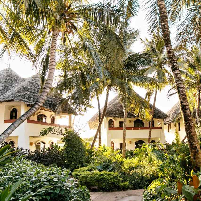 Essque Zalu Zanzibar gradina.jpg