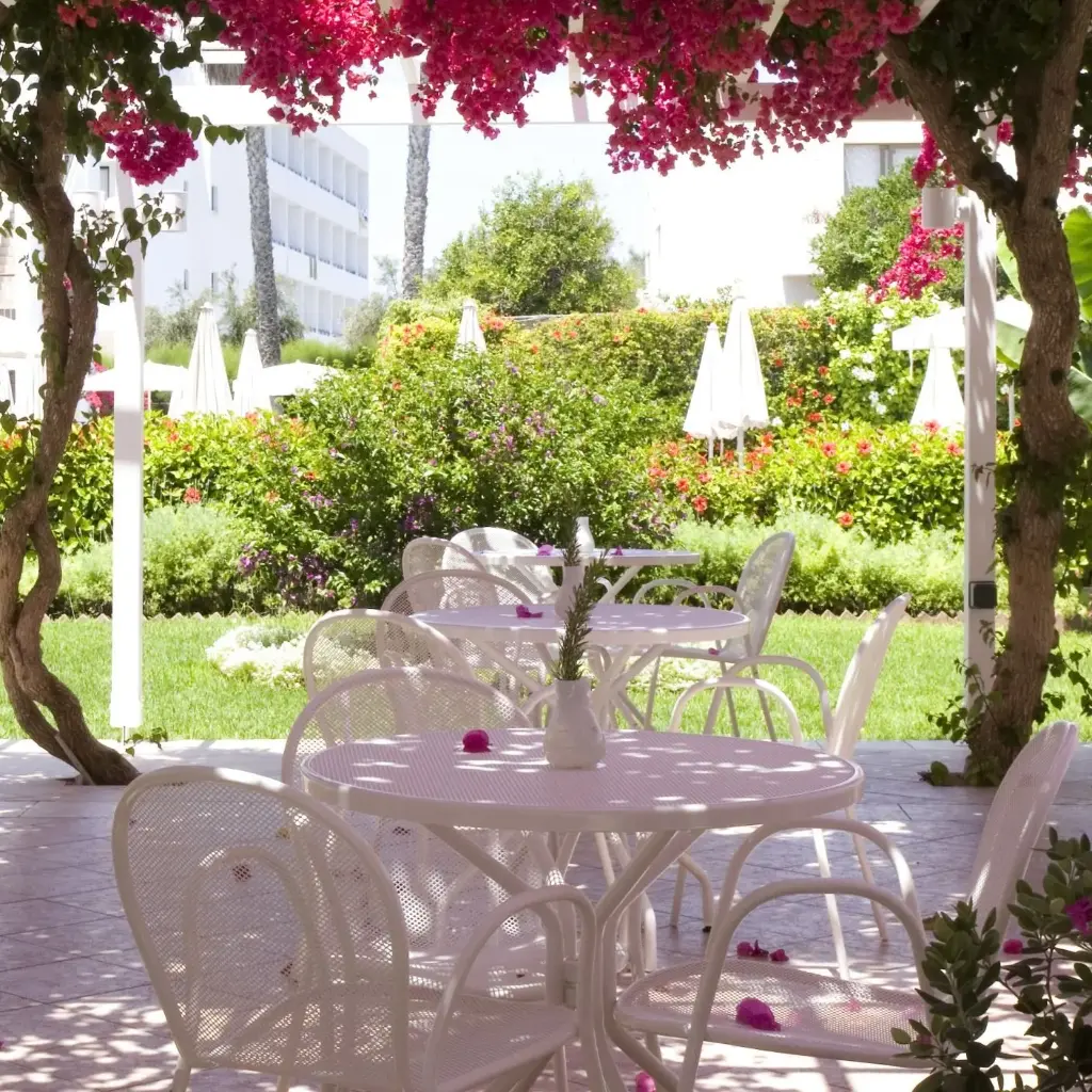 Nissi Park curte.webp
