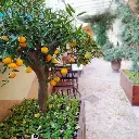 Antea Palace terasa verde.webp