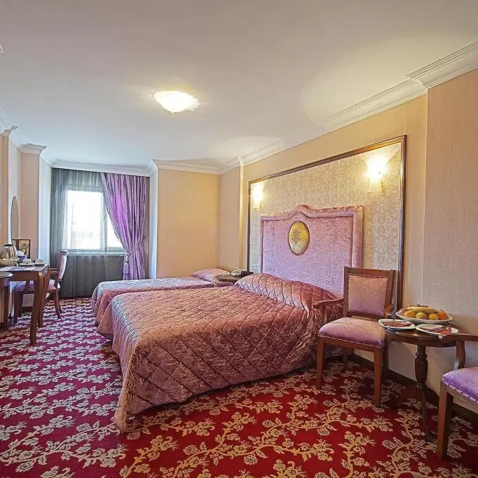 Antea Palace camera.webp