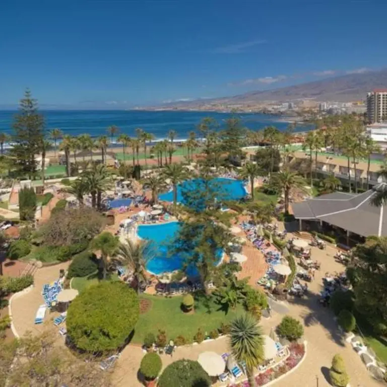 H10 Las Palmeras overview.webp