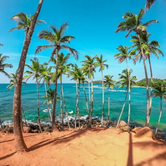 unsplash_iduEaeBB_rQ_Sri Lanka.webp