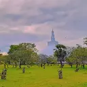 unsplash_UeSfcl4xreE_sri lanka.webp
