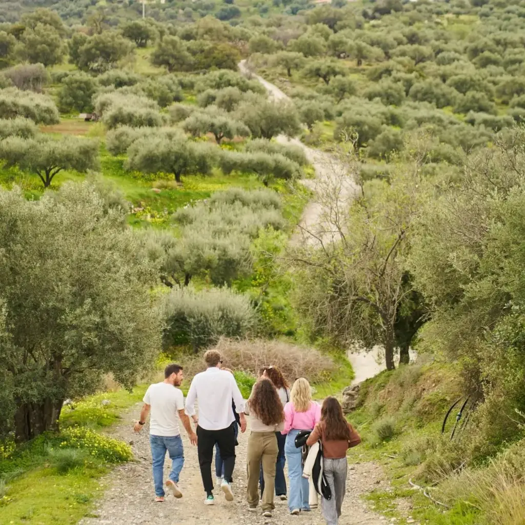 NG Creta thumb_16350038_cover_header.webp