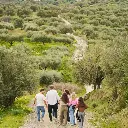 NG Creta thumb_16350038_cover_header.webp