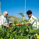 San Francesco gradina proprie.webp