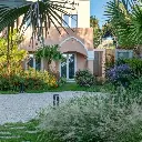 Corallo Blu gradina.webp