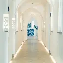 Corallo Blu hol.webp