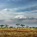 unsplash_DWXR-nAbxCk_Kenya.webp