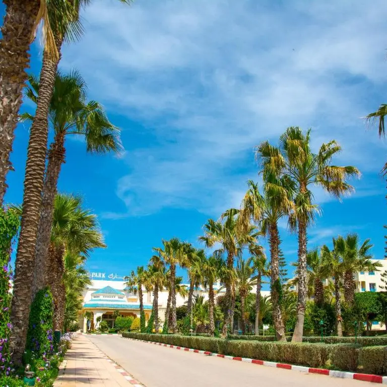 Sentido Bellevue alee.webp