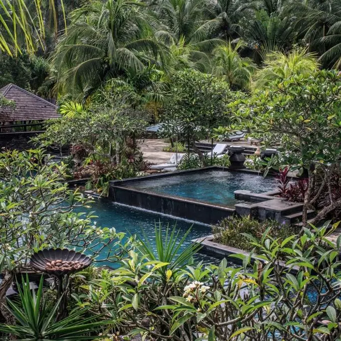 Four Seasons gradina.webp