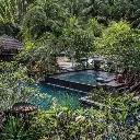 Four Seasons gradina.webp