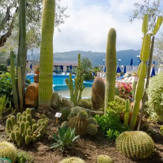 Terme Providence_gradina.webp