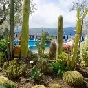 Terme Providence_gradina.webp