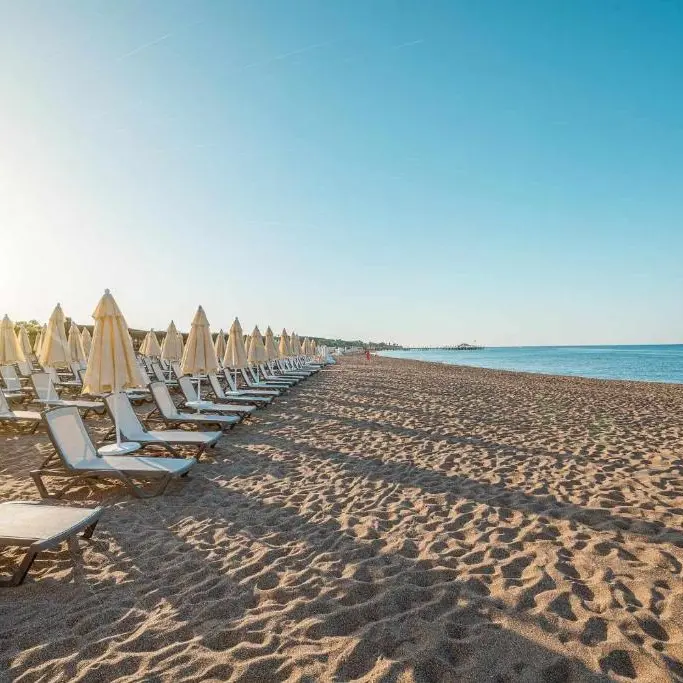 Vox Maris plaja 2.webp