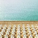 Grifid Sentido Marea plaja.webp