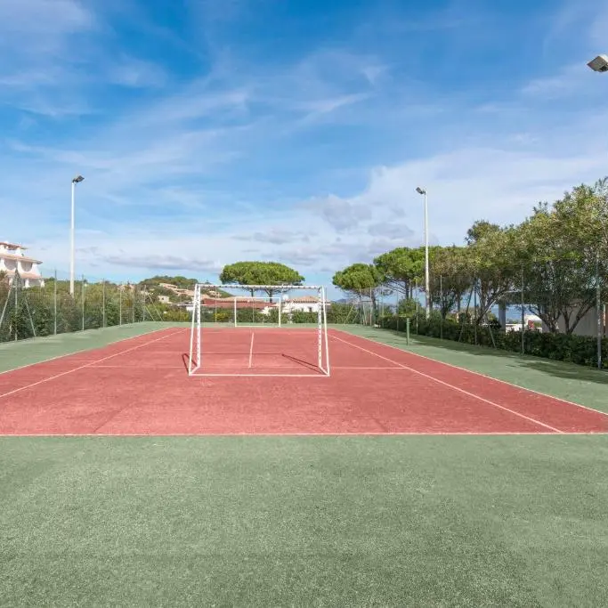 Cormorano teren de tenis.webp