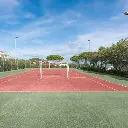 Cormorano teren de tenis.webp