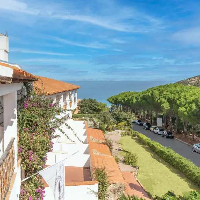 Cormorano exterior spre strada.webp