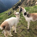 Descoperă cu noi PERU, o țară cât o lume întreagă!