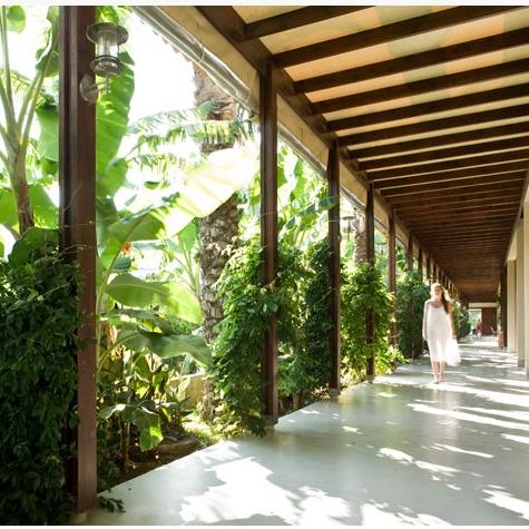 Programe Detox LifeCo Bodrum Turcia