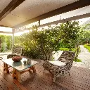 Programe Detox TheLifeCo  BODRUM TURCIA
