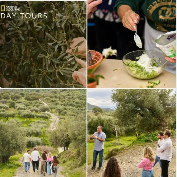 Tur de o zi National Geographic-Istoria milenară a uleiului de măsline |CRETA | GRECIA